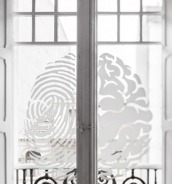 Neurozona: calidez y funcionalidad en torno a la neurociencia Neurozona: calidez y funcionalidad en torno a la neurociencia